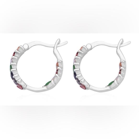 Multi color Austrian crystal Hoop Earrings in Stainless Steel - Picture 4 of 5